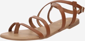 ABOUT YOU Sandal 'Elena' in Brown: front