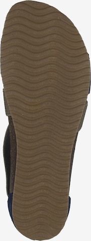 Sandalo con cinturino di IGI&CO in beige