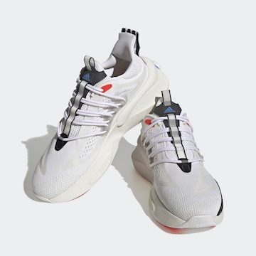 Chaussure de course 'Alphaboost V1' ADIDAS SPORTSWEAR en blanc