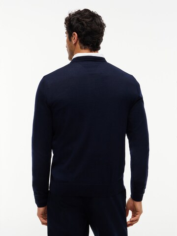 TOMMY HILFIGER Sweater in Blue