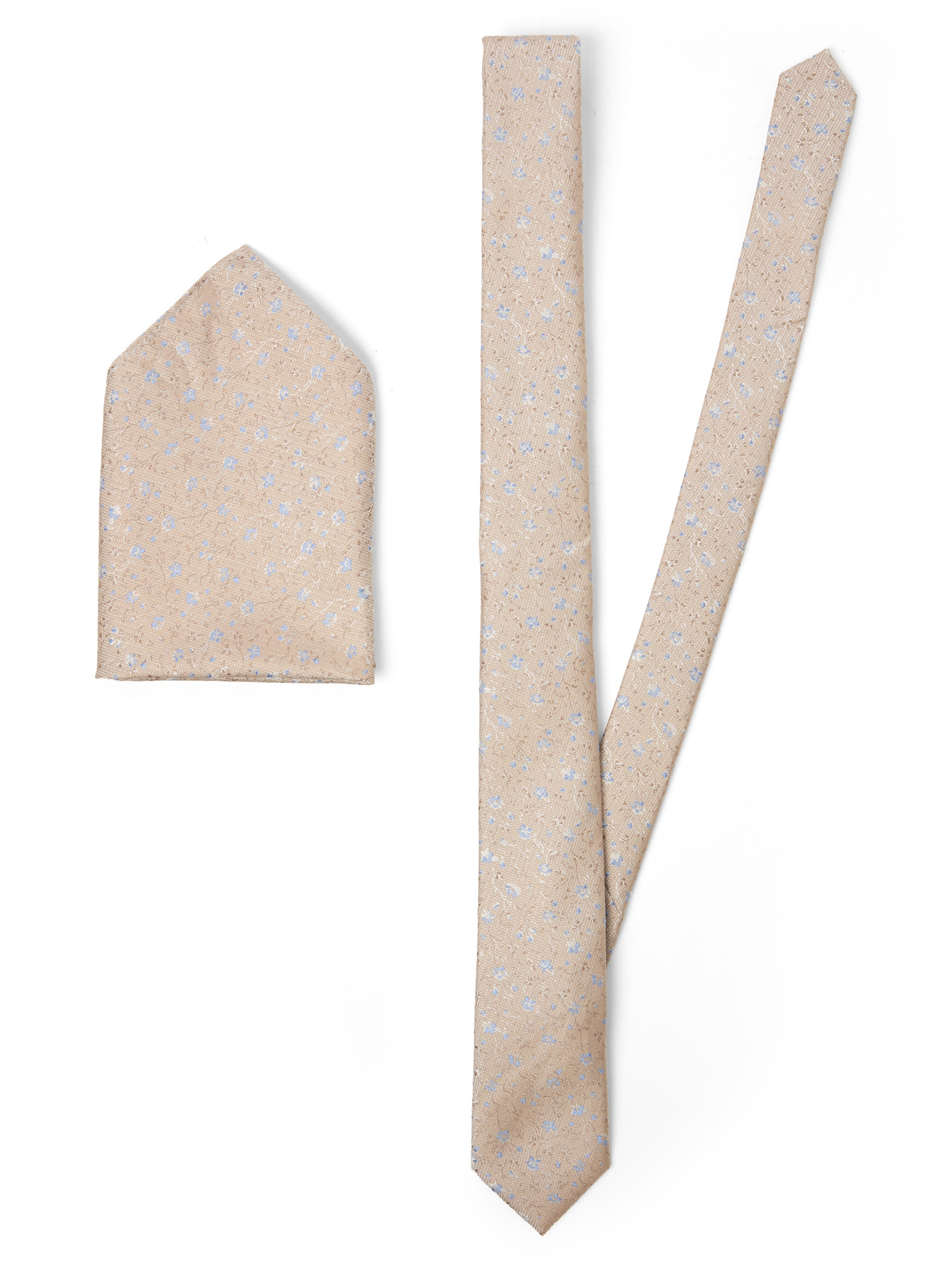 ROY ROBSON Set: Fliege und Einstecktuch in Beige: Vorderseite