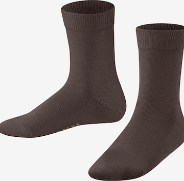 FALKE Socks 'Family' in Brown: front