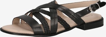 CAPRICE Strap Sandals in Black: front