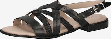 CAPRICE Strap Sandals in Black: front