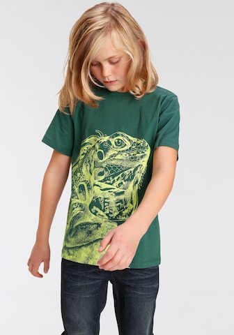 Kidsworld Shirt in Green