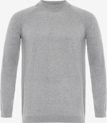 pilka Dandalo Megztinis: priekis