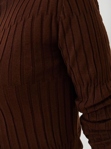 Bianco Lucci - Pullover 'Pullover' em castanho