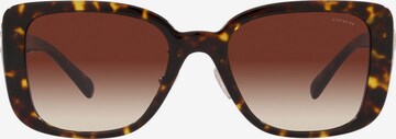 COACH Sončna očala | rjava barva