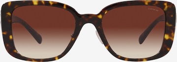 Lunettes de soleil COACH en marron