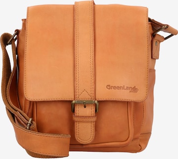 Borsa a tracolla di Greenland Nature in marrone: frontale