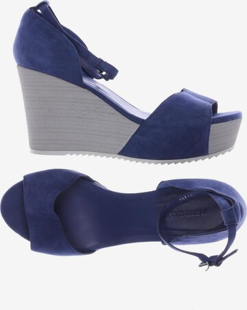 Elvio Zanon Sandals & High-Heeled Sandals in 39 in Blue: front