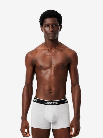 Boxers LACOSTE en gris : devant