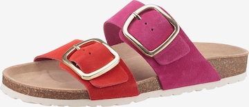 Aniston Mules in Pink: front