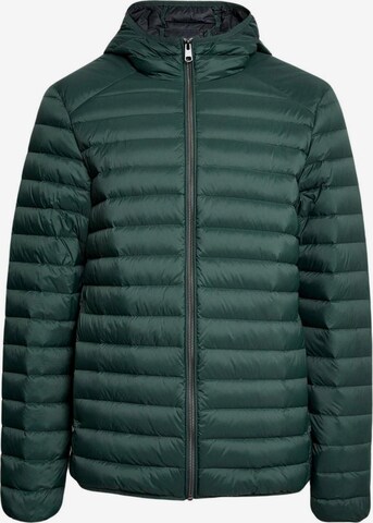 Marks & Spencer Winterjas in Groen: voorkant