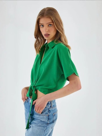 Chemisier MixRay en vert