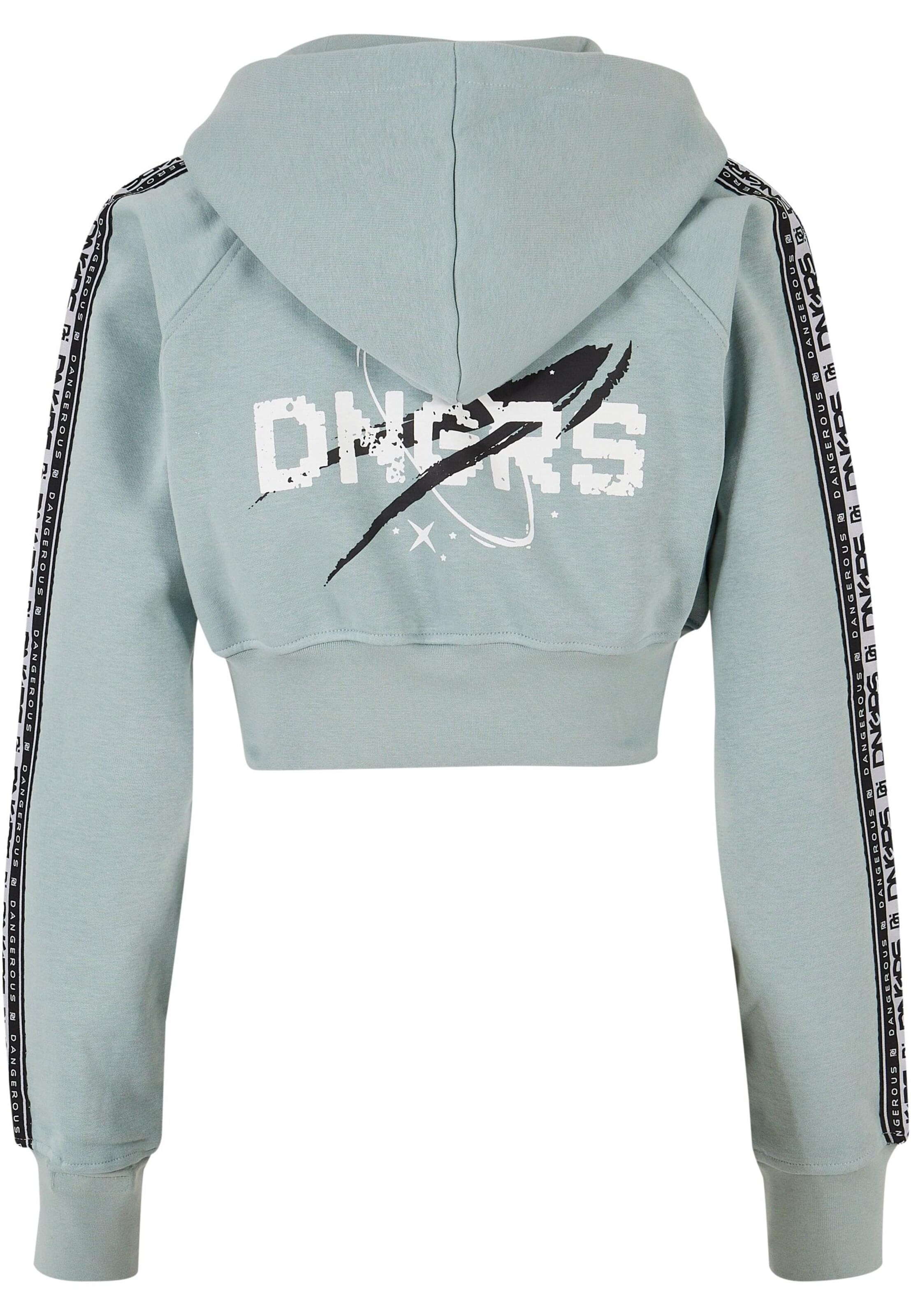 Dangerous DNGRS Sweatshirt 'Cumulus' i grå