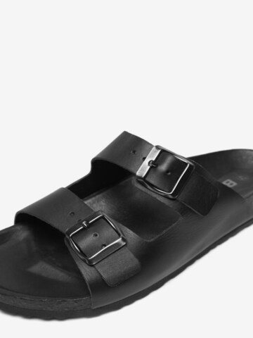 Bianco Mules 'EMILIO' in Black