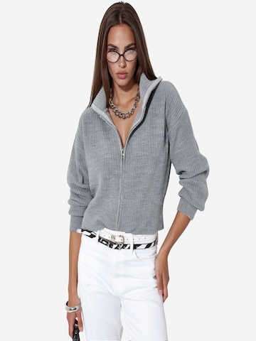 Cardigan Viorna en gris : devant