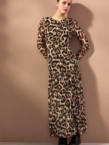 Next Dress in Brown