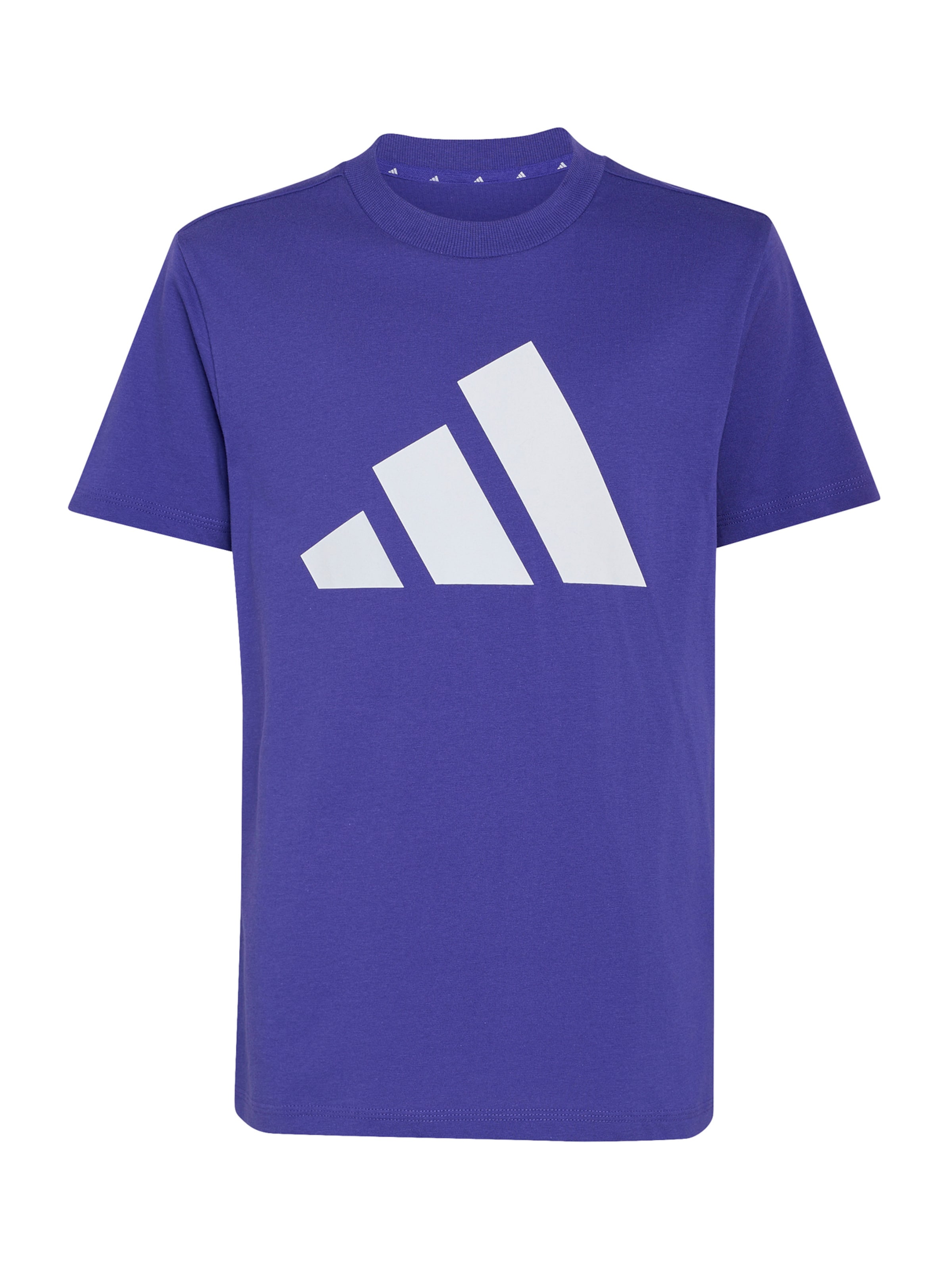 purpurinė ADIDAS SPORTSWEAR Marškinėliai: priekis