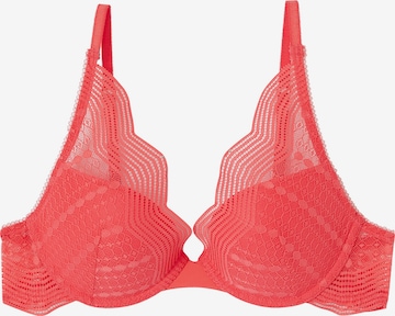 Bustino Reggiseno 'Gamme' di ETAM in arancione: frontale