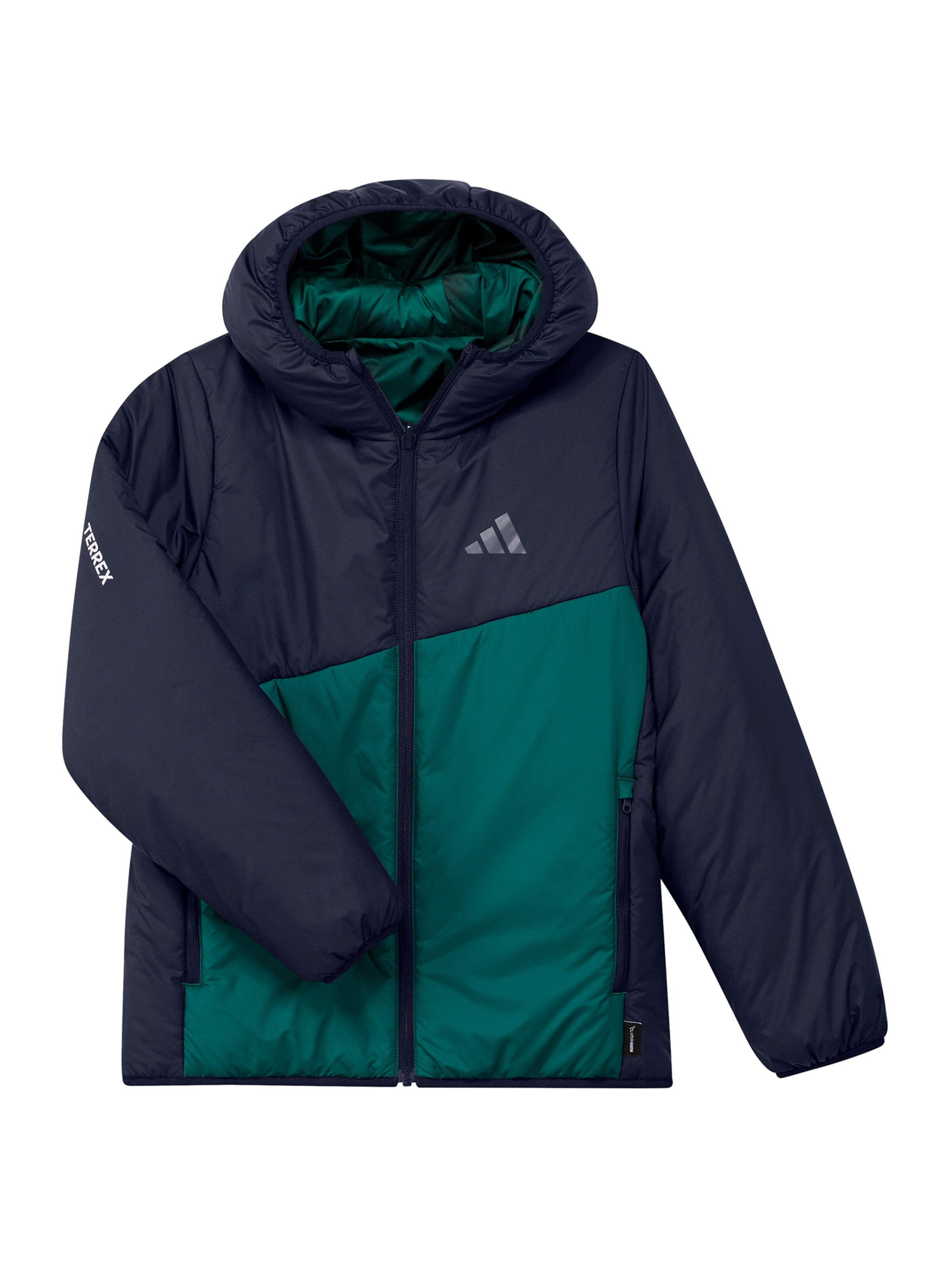 Geacă outdoor de la ADIDAS TERREX pe negru: față