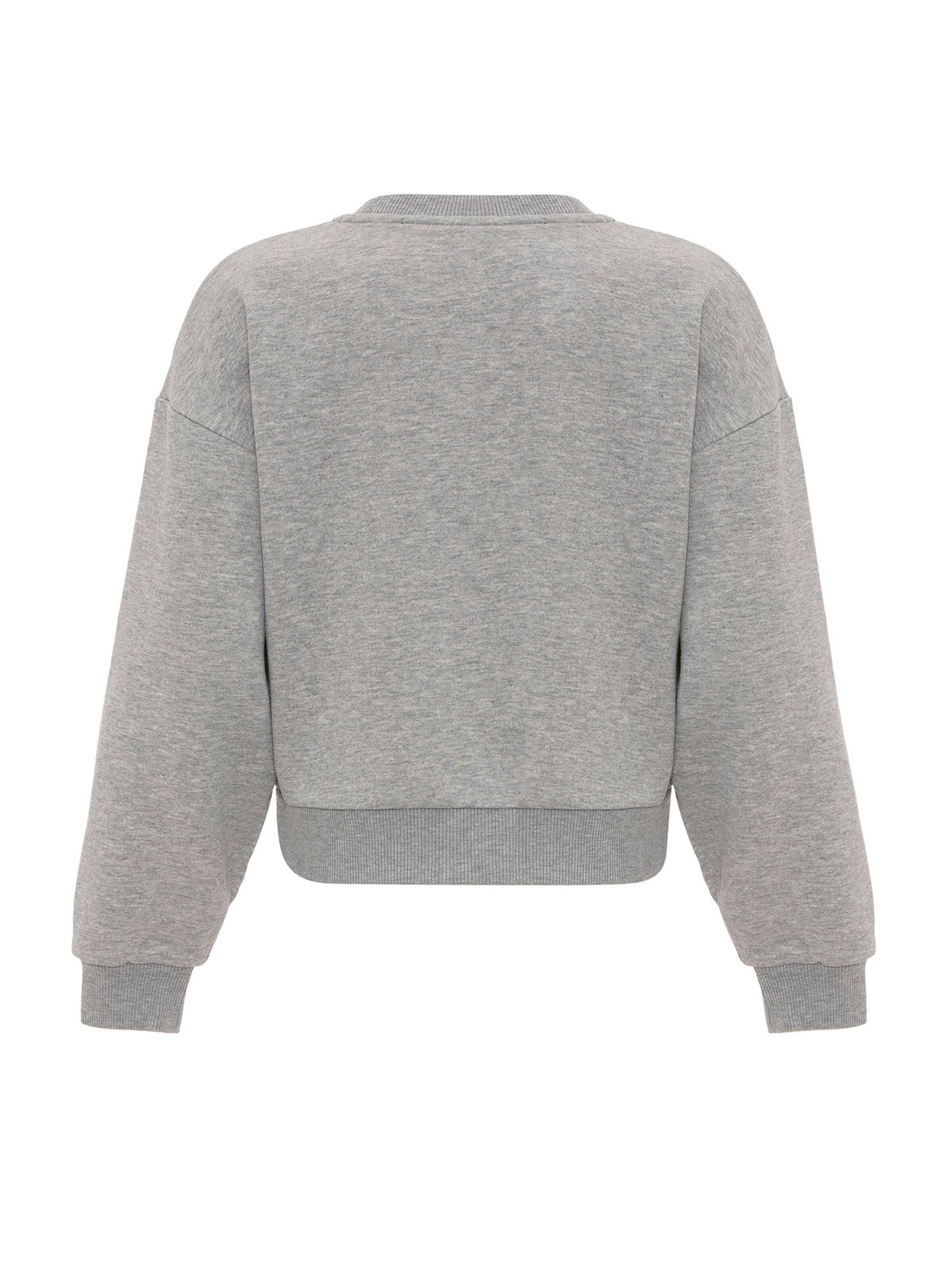 Williot Sweatshirt in Grey