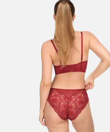 Hunkemöller Push-up Bra 'Tosca' in Red