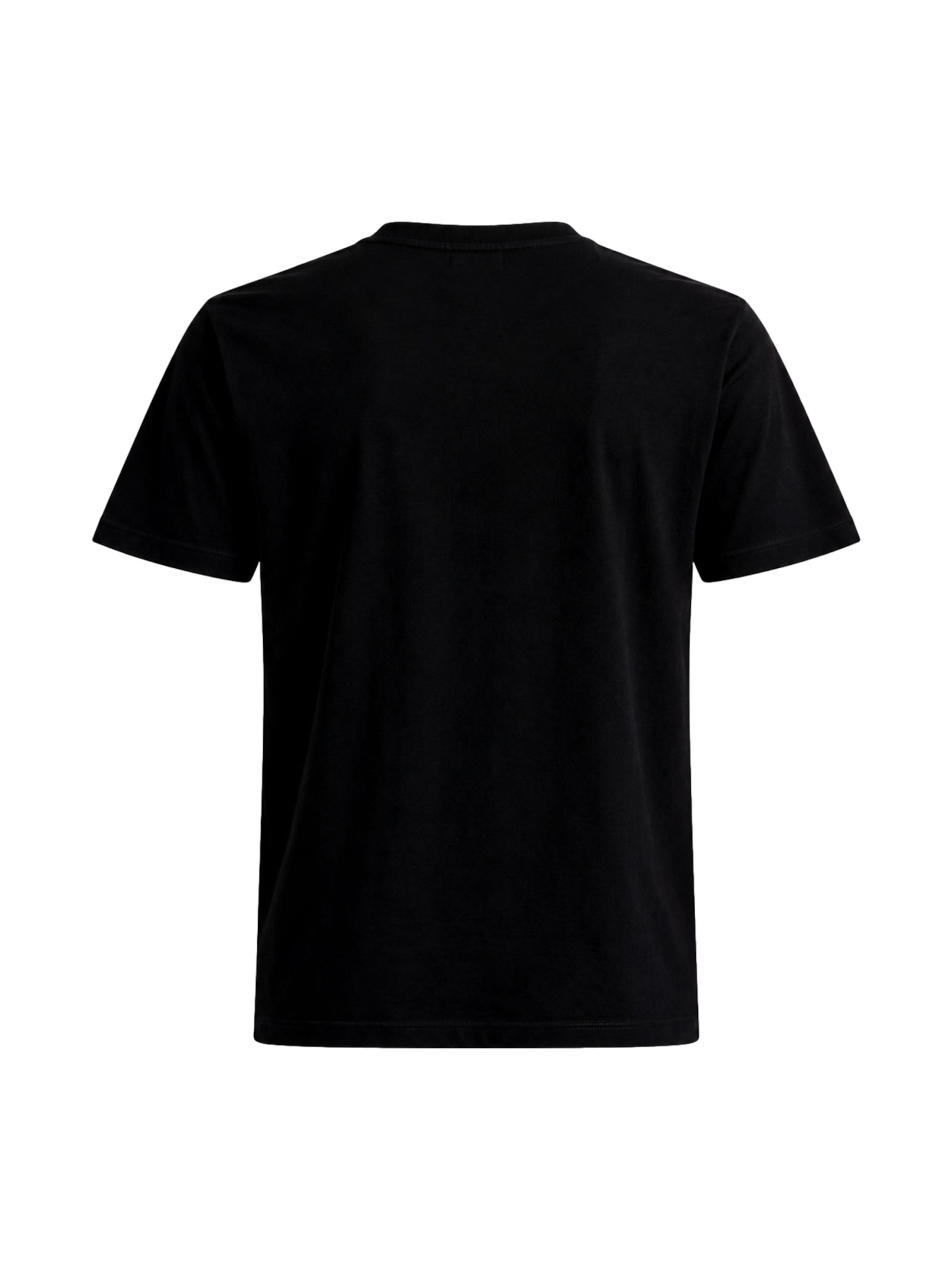 T-Shirt REPLAY en noir