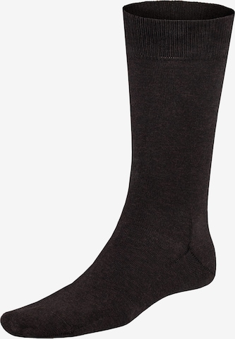 Chaussettes 'Richard' KUNERT en marron : devant