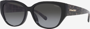COACH Солнцезащитные очки в Черный: спереди