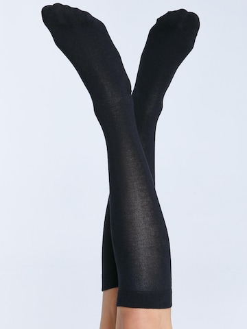 Albero Natur Knee High Socks in Black