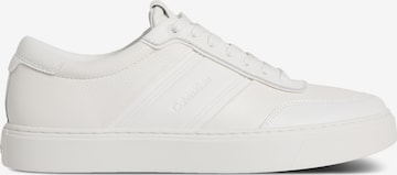 Baskets basses 'CLEAN CUP' Calvin Klein en blanc : devant