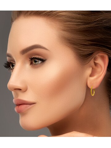 ARS-ARGENTI Earrings in Gold: front