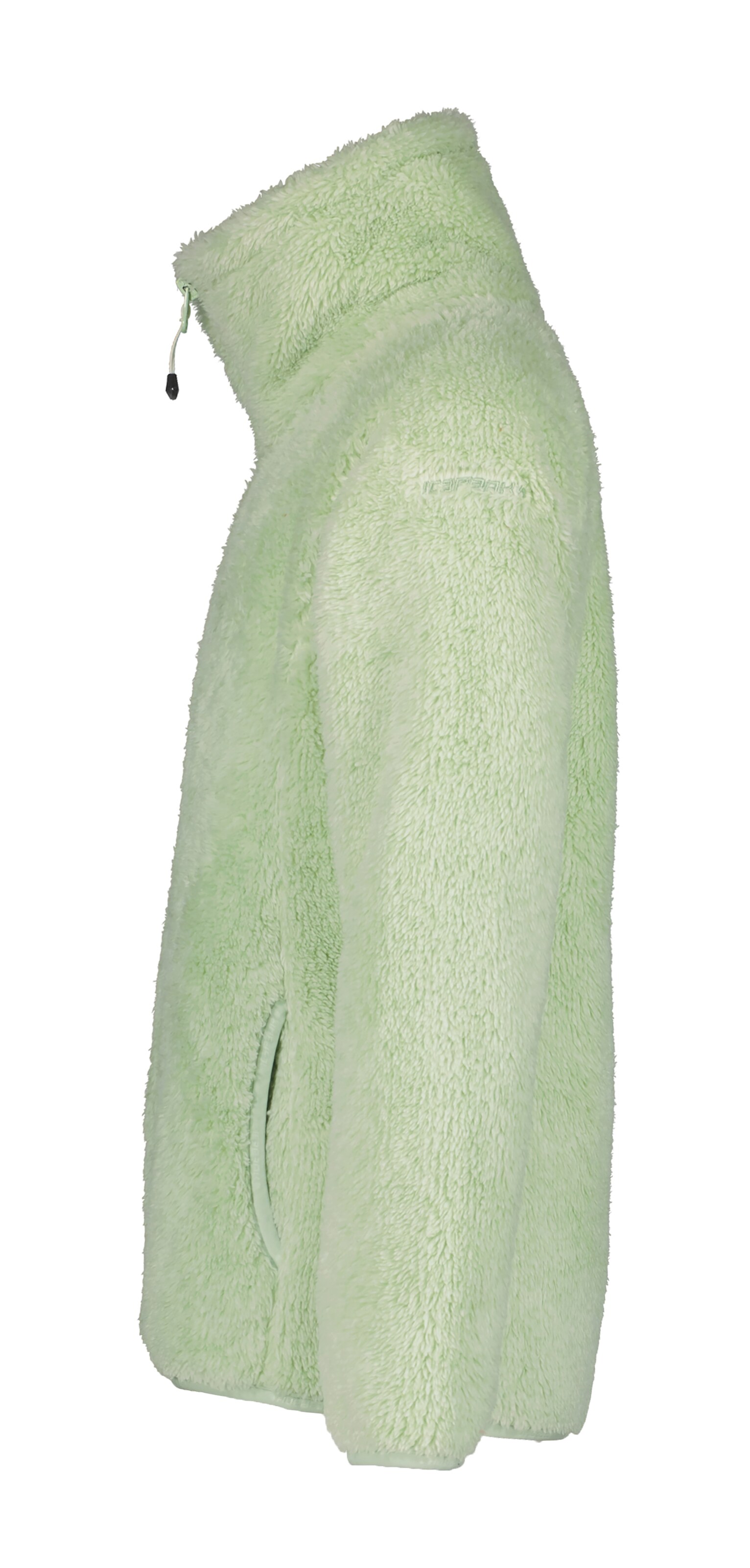ICEPEAK Fleecejacke in Grün