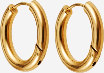 Karolina Kurkova Originals Earrings 'Alexis' in Gold