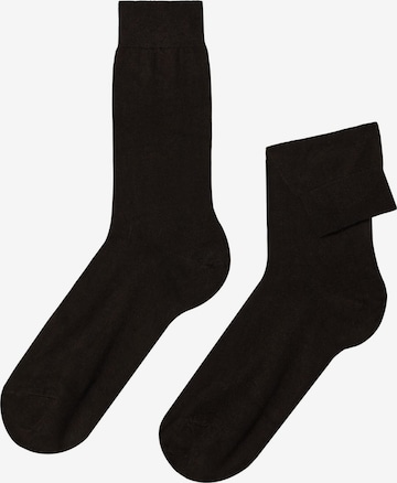 CALZEDONIA Socks in Brown: front