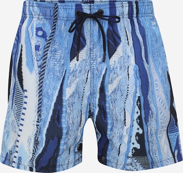 Carlo Colucci Board Shorts in Blue: front