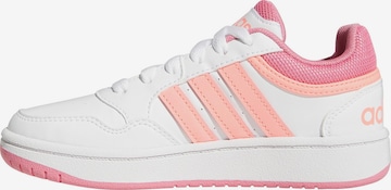 ADIDAS ORIGINALS Sneakers 'Hoops 3.0' in White: front