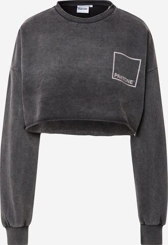 Misspap Sweatshirt in Grey: front