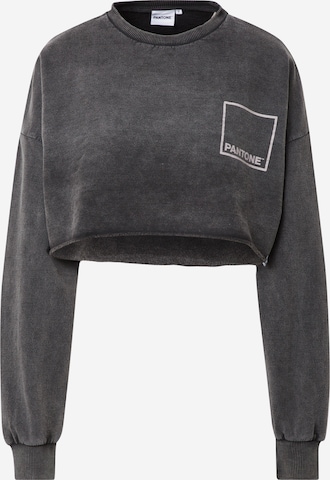 Misspap - Sweatshirt em cinzento: frente