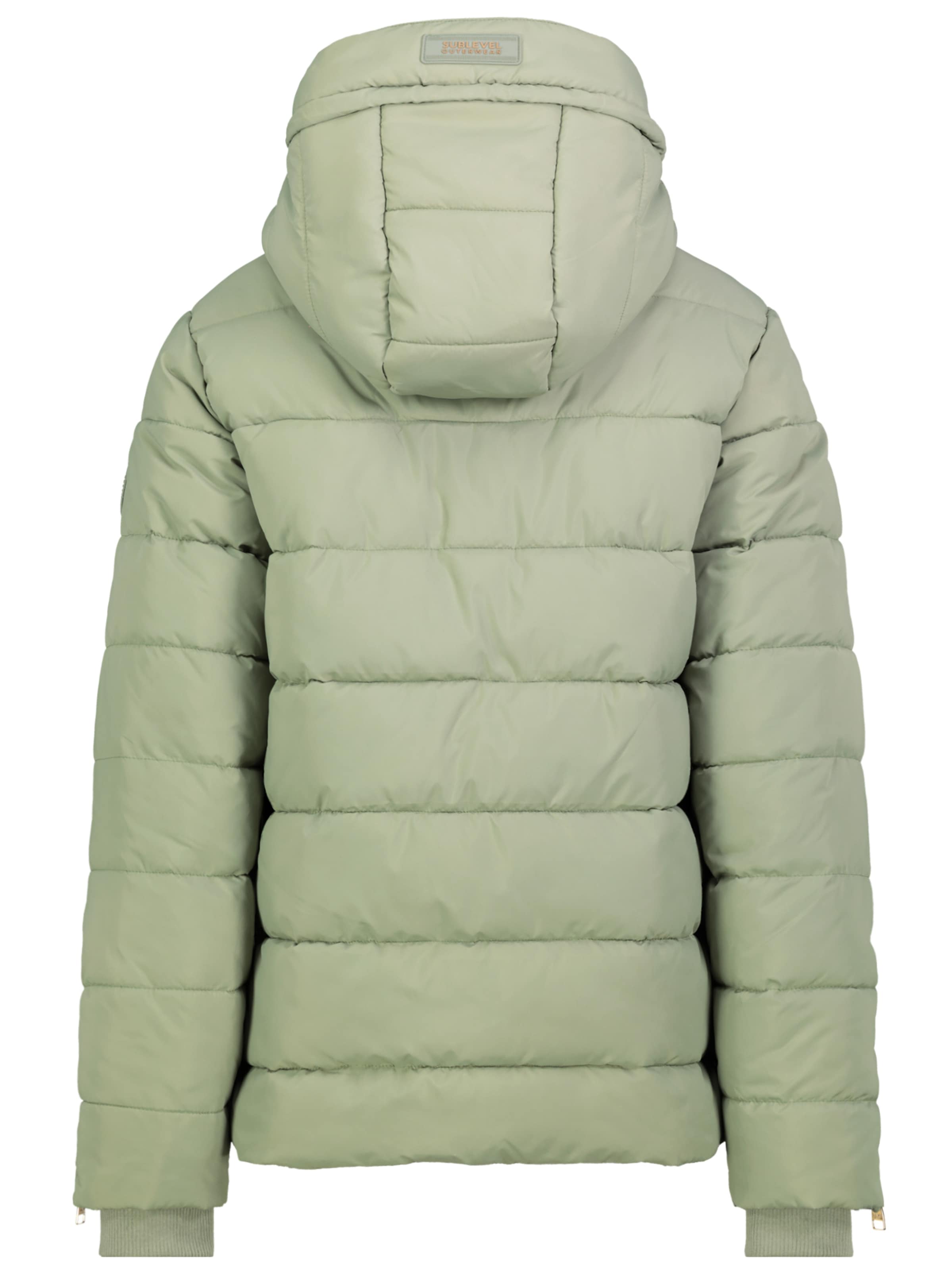 Sublevel Winter Jacket in Green