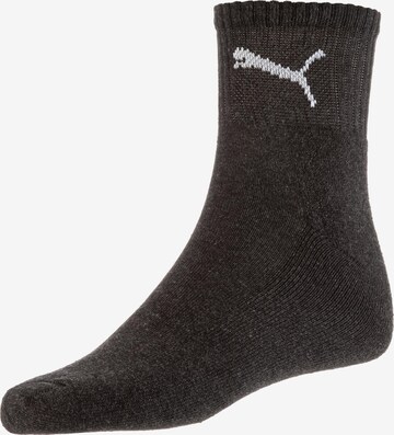 Chaussettes PUMA en gris