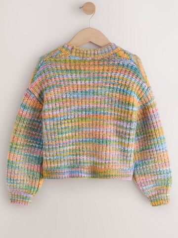 Next Gebreid vest in Gemengde kleuren