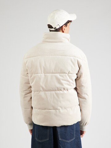 TOM TAILOR DENIM Winterjas in Beige