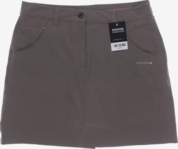 ICEPEAK Skirt in M in Brown: front