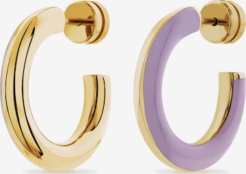 Guido Maria Kretschmer Jewellery Earrings in Gold: front