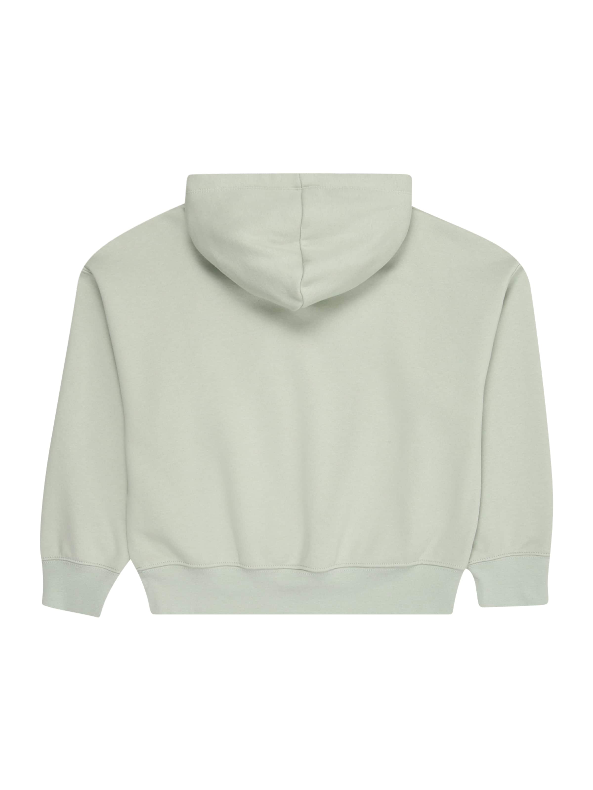 Jordan Sweatshirt 'BROOKLYN' in Groen