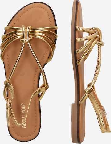 ABOUT YOU Sandalen 'Ylvi' in Gold