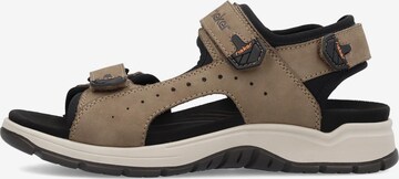 Rieker Hiking Sandals in Brown